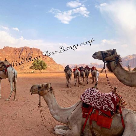 Wadi Rum Rose Luxury Camp 外观 照片
