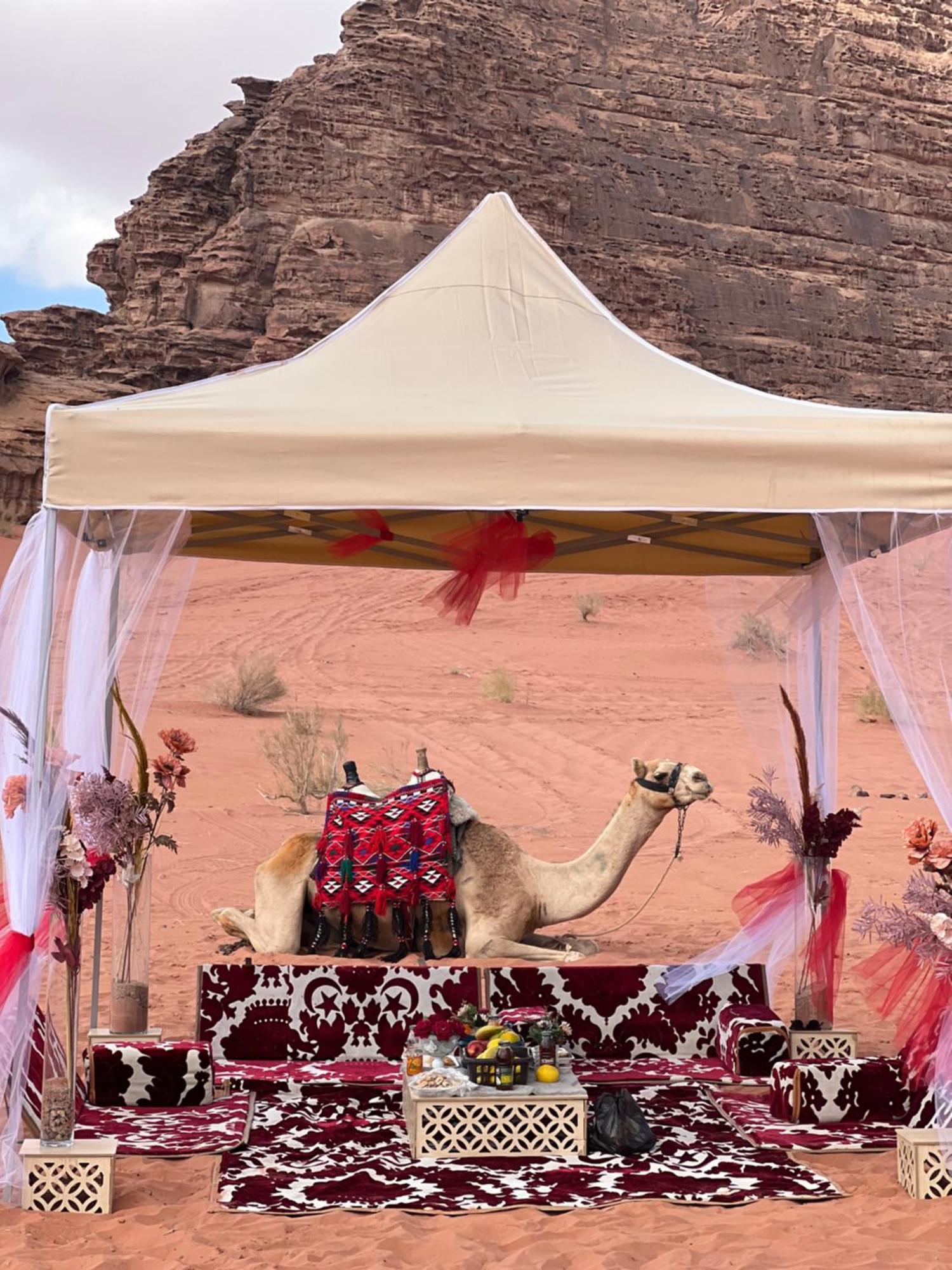 Wadi Rum Rose Luxury Camp 外观 照片