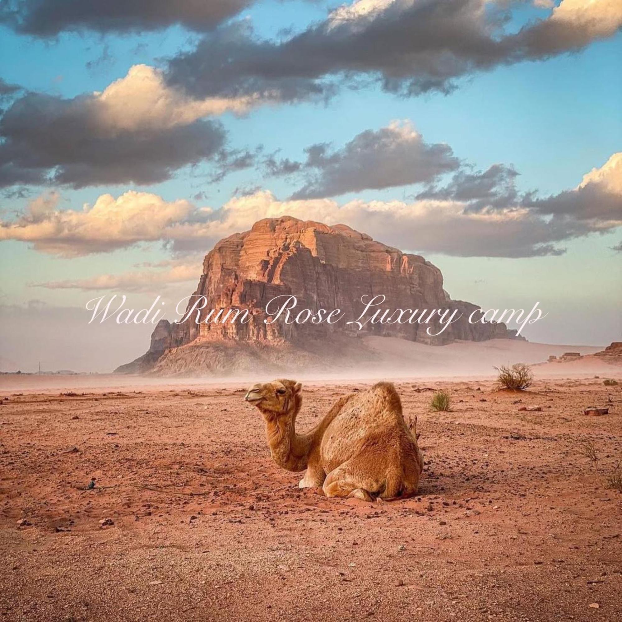 Wadi Rum Rose Luxury Camp 外观 照片
