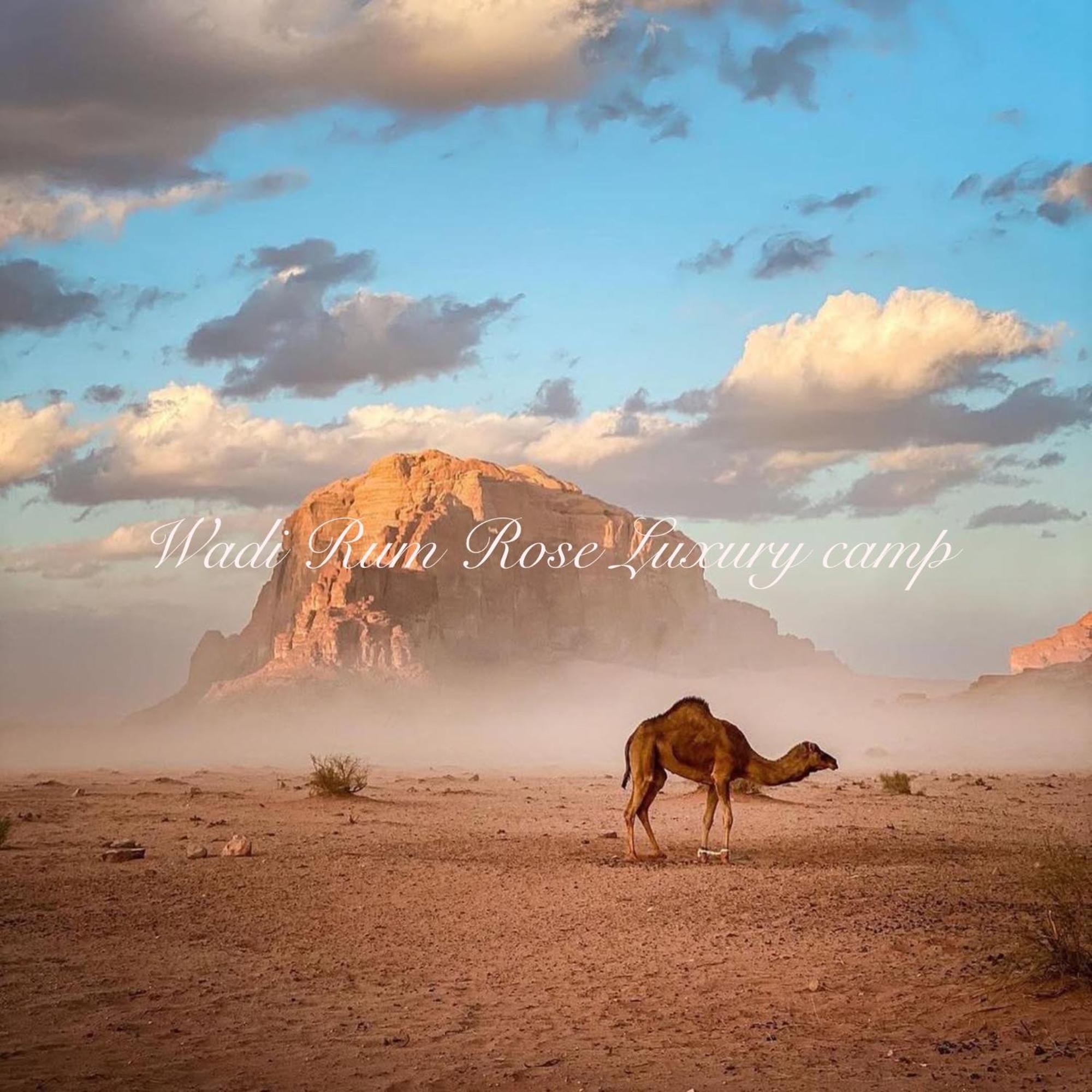 Wadi Rum Rose Luxury Camp 外观 照片