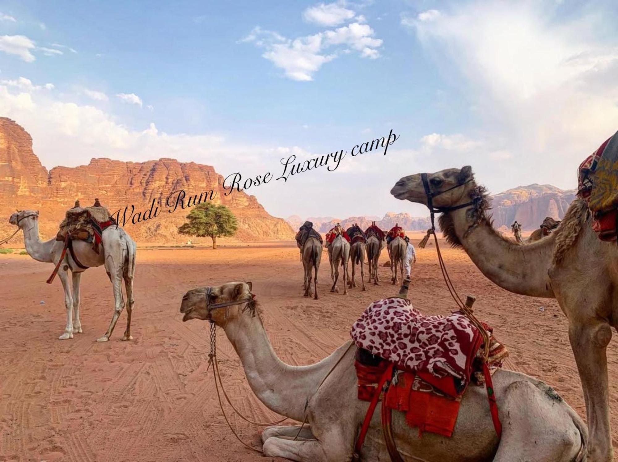 Wadi Rum Rose Luxury Camp 外观 照片