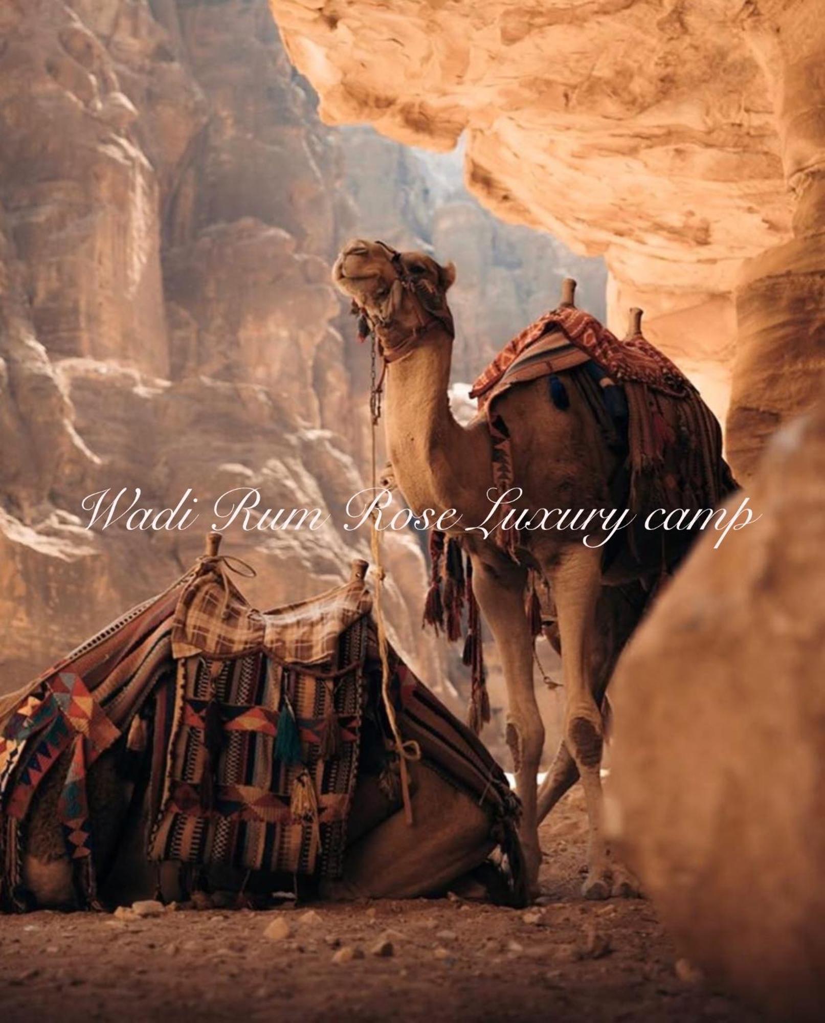 Wadi Rum Rose Luxury Camp 外观 照片